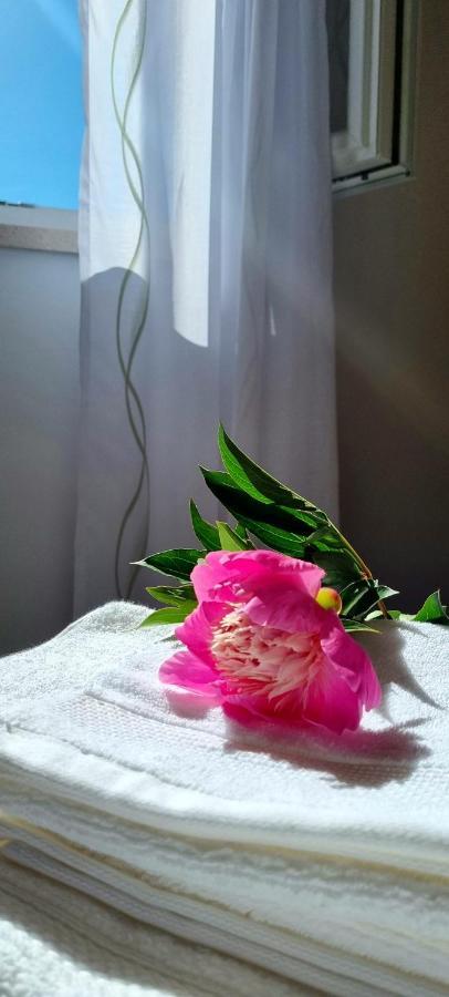 Baloro Apartment Mokošica Zewnętrze zdjęcie